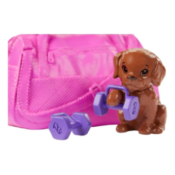 Mattel Barbie Welliness Ημέρα Ομορφιάς Fitness (GJG57) -Μικρόκοσμος κοριτσιών Κατάστημα 201024 4